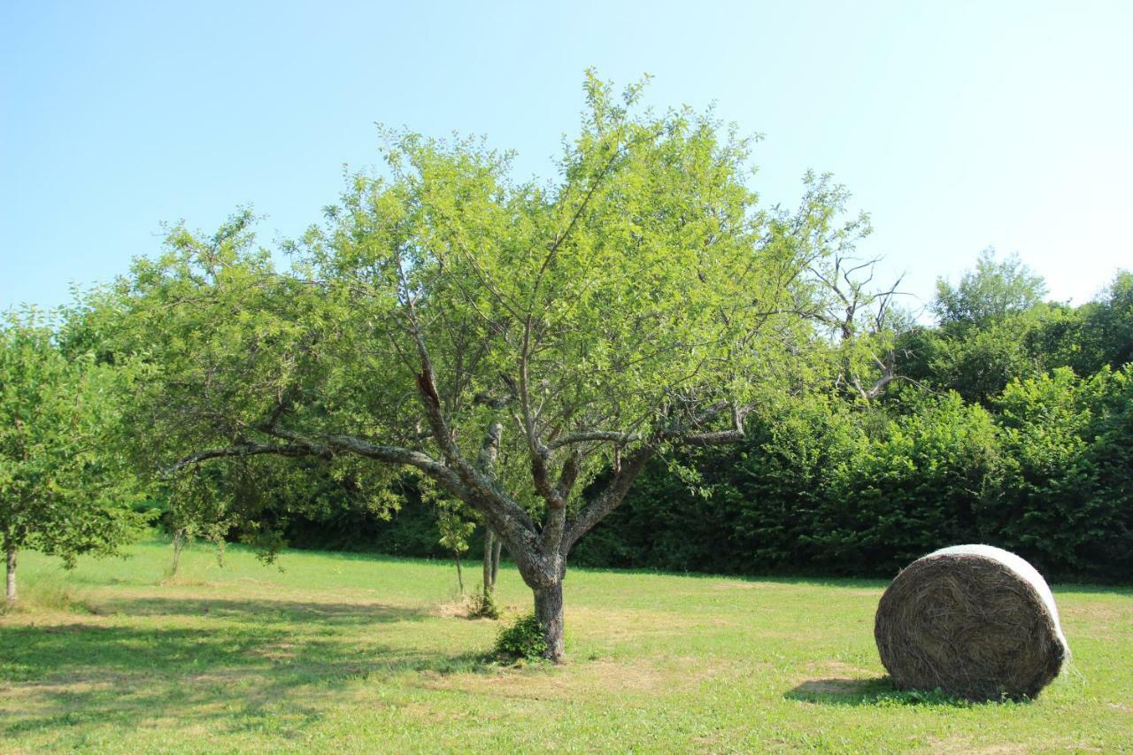 La Valle De' Medici Barberino di Mugello Luaran gambar